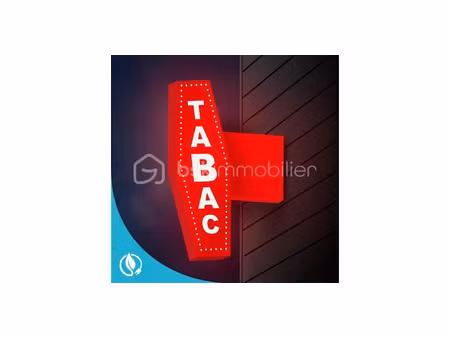 vente locaux professionnels à sillingy (74330)  225 000 €