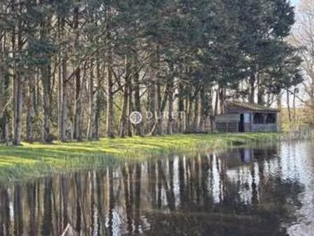 vente terrain à montrevault-sur-evre (49110) : à vendre / 9863m² montrevault-sur-evre
