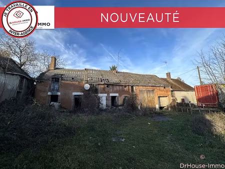 vente immeuble 10 pièces 250 m² à nargis (45210)  133 500 €