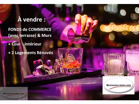 vente immeuble 120 m² à cormatin (71460)  491 000 €