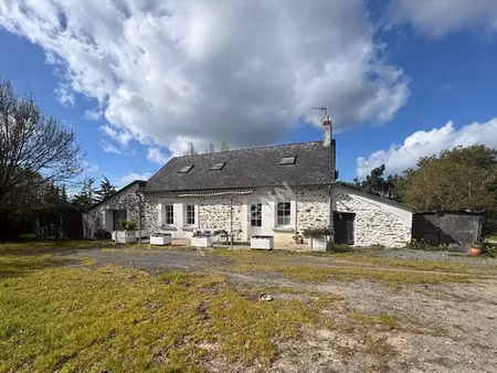 vente maison à belligné (44370) : à vendre / 160m² belligné