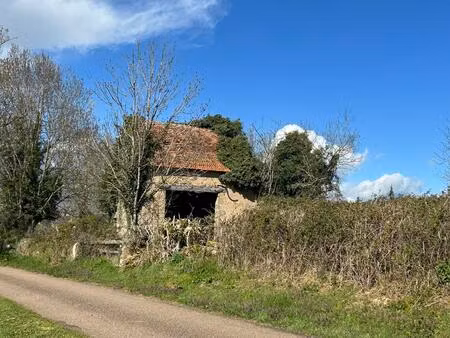 vente terrain 2000 m² saint-symphorien-des-bois (71800)