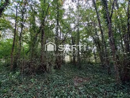 terrain de loisirs boisé proche du plan d'eau de jaunay-clan