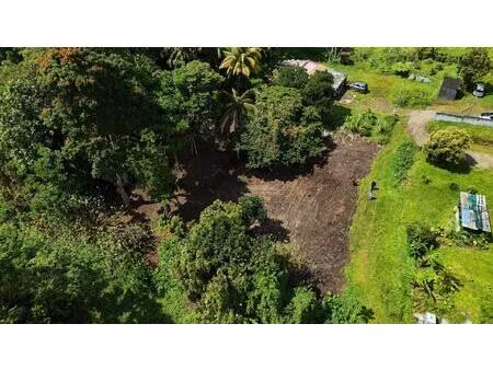 terrain plat de 2175m² à fort-de-france  à la campagne  idéal pour projet de construction 