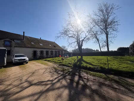 location maison à pluneret (56400) : à louer / 195m² pluneret