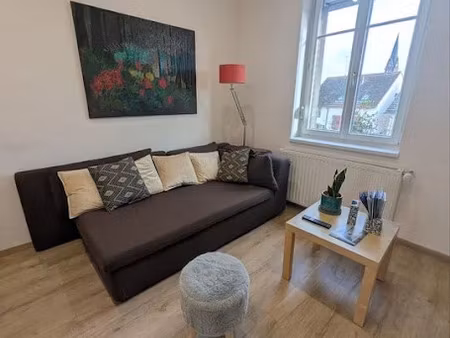 location meublée appartement 3 pièces 54 m² à schiltigheim (67300)  850 €