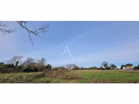 vente terrain au fenouiller (85800) : à vendre / 376m² le fenouiller