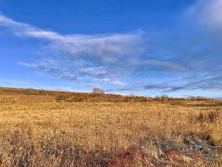 terrain constructible viabilisé à vendre