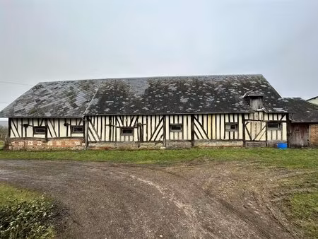 achat : maison (61120)