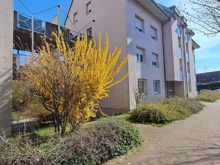 appartement 2 pièces 48 m²