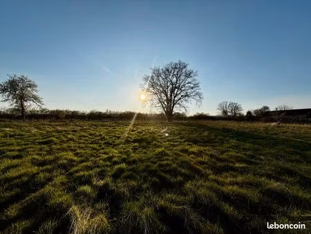 terrain viabilisé 5300 m² avec permis de construire – vue dégagée – boulleret