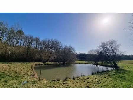 17ha avec source  étang  bois et prairie