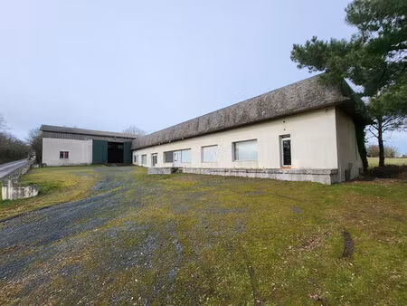 vente maison 8 pièces  1035.00m²  pierric