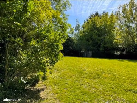 terrain constructible