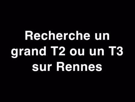 recherche grand t2 ou t3 sur rennes