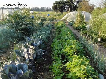location jardins potagers jonquières 84