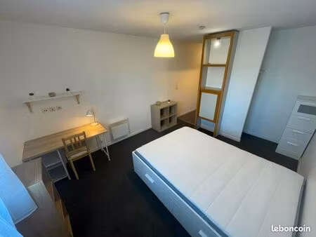 studio estudines amidonniers