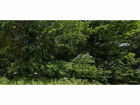 vente terrain à corme-royal (17600) : à vendre / 6381m² corme-royal