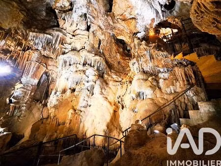 iad france jean pascal petit