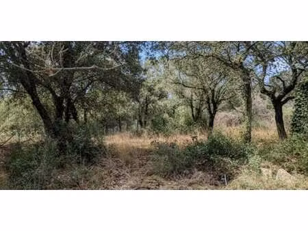 terrain sainte-croix-de-quintillargues (34)