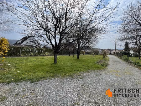 terrain constructible