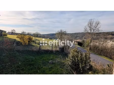 vente maison 12 pièces 210 m² à vollore-ville (63120)  110 000 €
