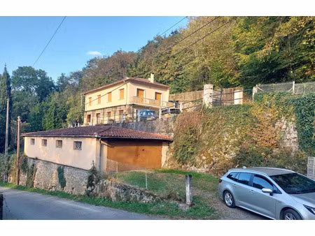 vente maison 10 pièces 213 m² à aspet (31160)  197 000 €