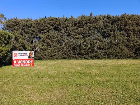 terrain à monteux sur les hauteurs