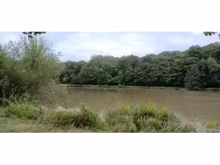 vente bel étang d’environ 1 5 ha avec maisonnette de 30 m2 e