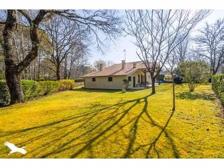 vente maison 6 pièces 120 m² cestas (33610)