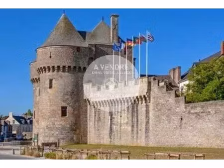 vente terrain 340 m2 à guérande