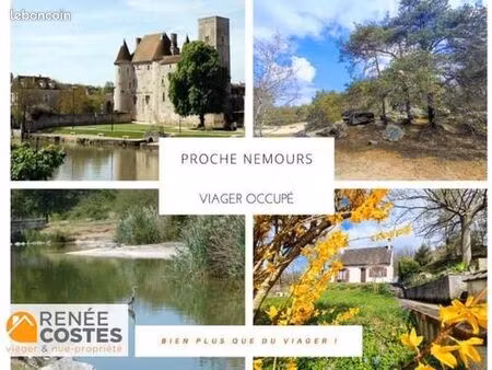 maison en viager 4 pièces 96 m²