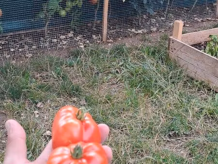 recherche un terrain parcelle jardin