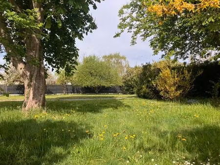 terrain constructible