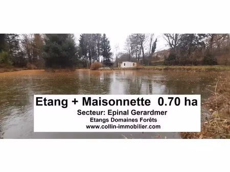 achat terrain 7 000m² epinal 88000