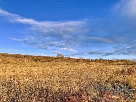 marlenheim  terrain à bâtir de 450m2  libre d'architecte