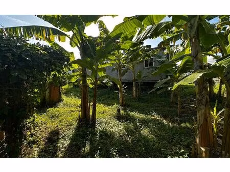 maison capesterre-belle-eau m² t-6 à vendre  175 000 €