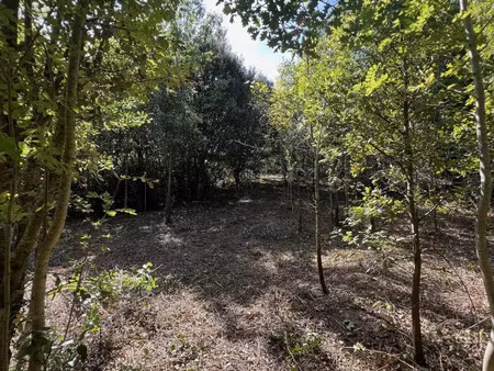 vente terrain 3210 m² prémian (34390)