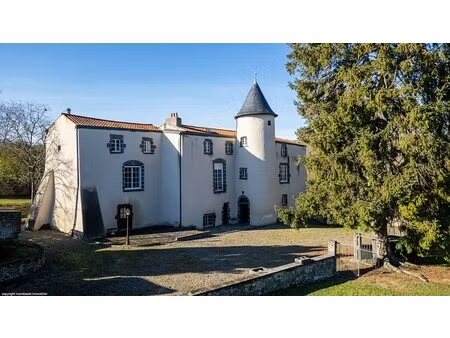 manoir à vendre à yssac-la-tourette