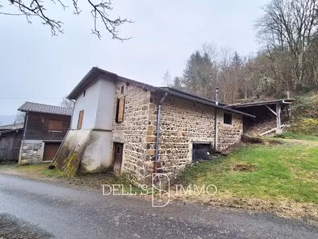 2 maisons  au calme  avec dépendances