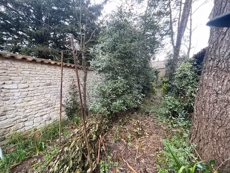 vente maison 7 pièces 141 m² à saint-martin-de-ré (17410)  630 000 €