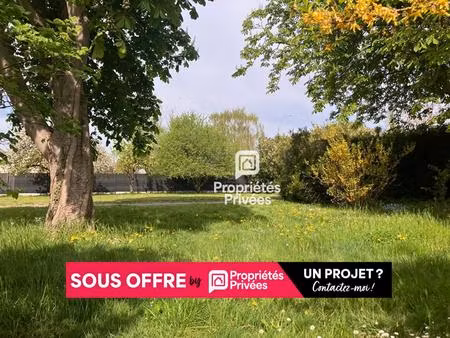 terrain constructible