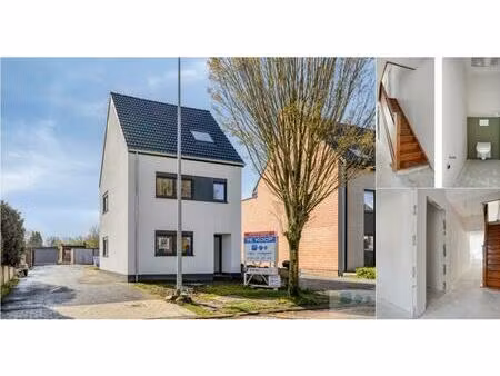 maison de maître à vendre avec garage et terrasse   berlaar (rbv56544)