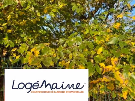 vente terrain à chemille (49120) : à vendre / chemille