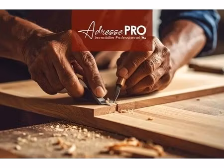 vente commerce 295 m²