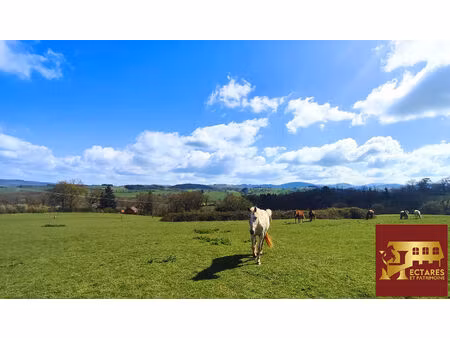propriété équestre 6 5 hectares attenants