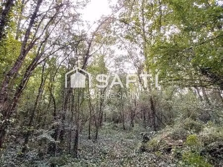 vente terrain 3945 m² jaunay-marigny (86130)