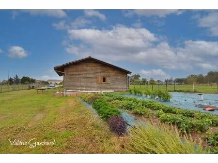 st méard de gurson  maison 2 chambres + 2500 m² terrain