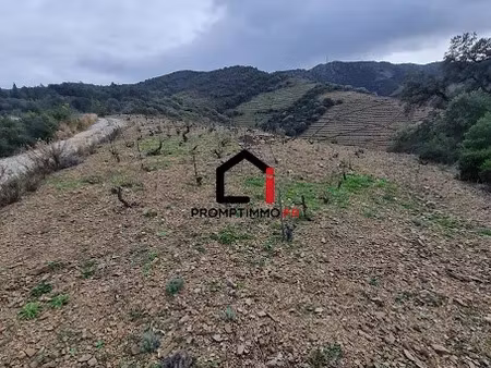vente terrain 9840 m² à banyuls-sur-mer (66650)  nan €