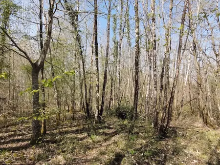 vente terrain 192700 m² à saint-front-sur-nizonne (24300)  74 900 €